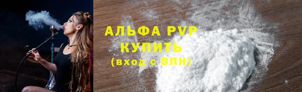 стафф Арсеньев