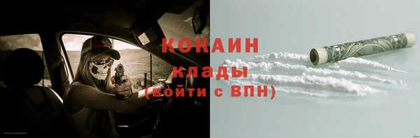 стафф Арсеньев