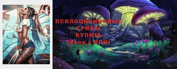 a pvp Аркадак