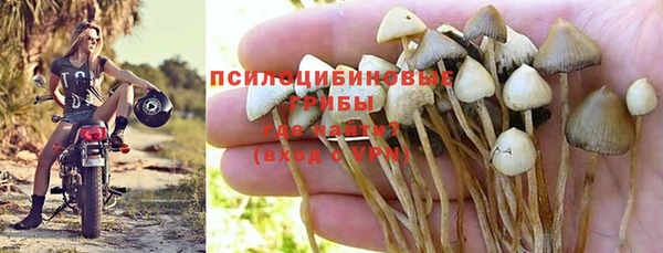 твердый Медвежьегорск