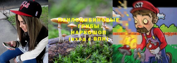 a pvp Аркадак