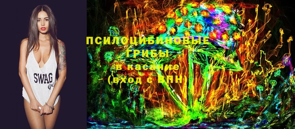 стафф Арсеньев