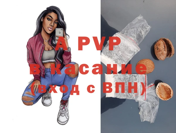 стафф Арсеньев